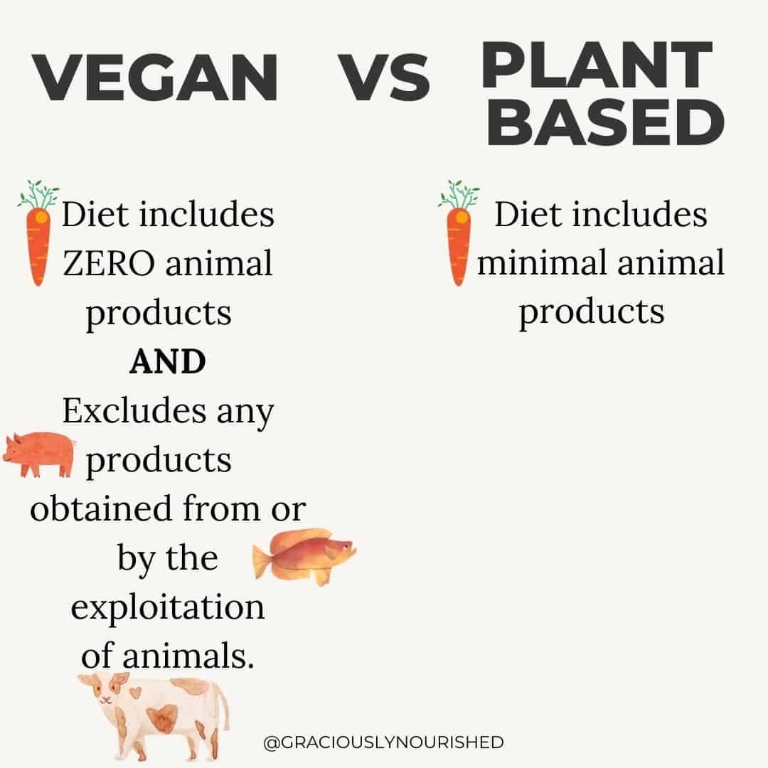 vegan versus plant based. Vegan: diet includes zero animal products and excludes products obtained from or by the exploitation of animals. Plant based: minimizes animal products 