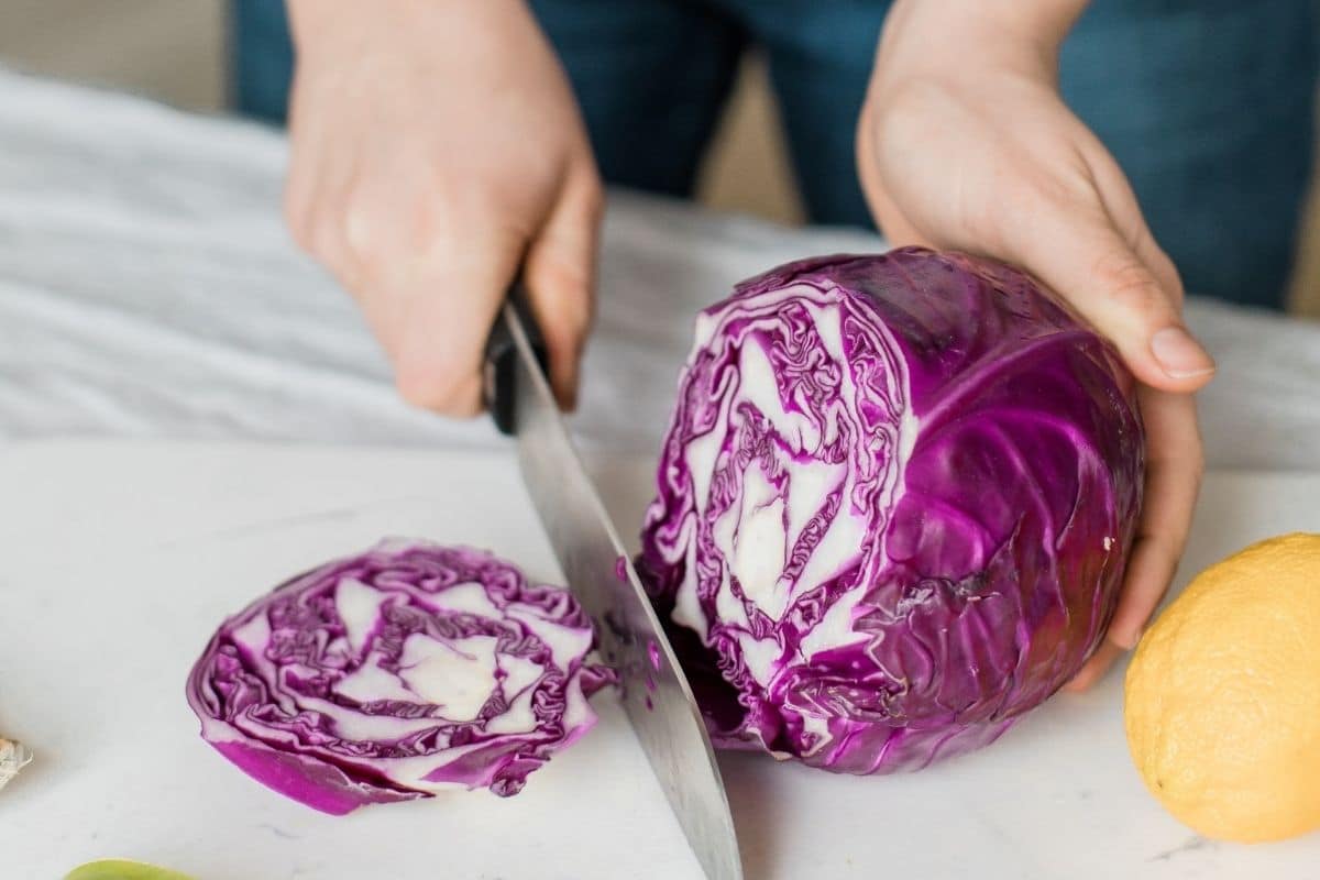 woman slicing a red cabbage on a white cutting board with a lemon sitting off to the side. 